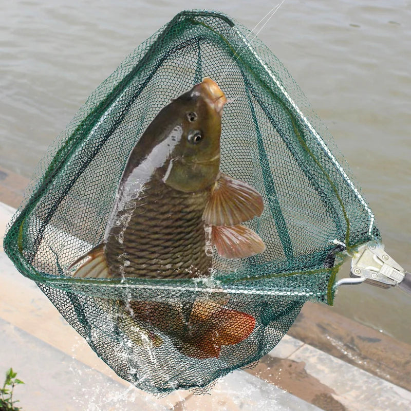 Telescopic Fish Landing Net
