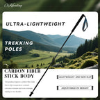 Carbon City Walking Running Sticks