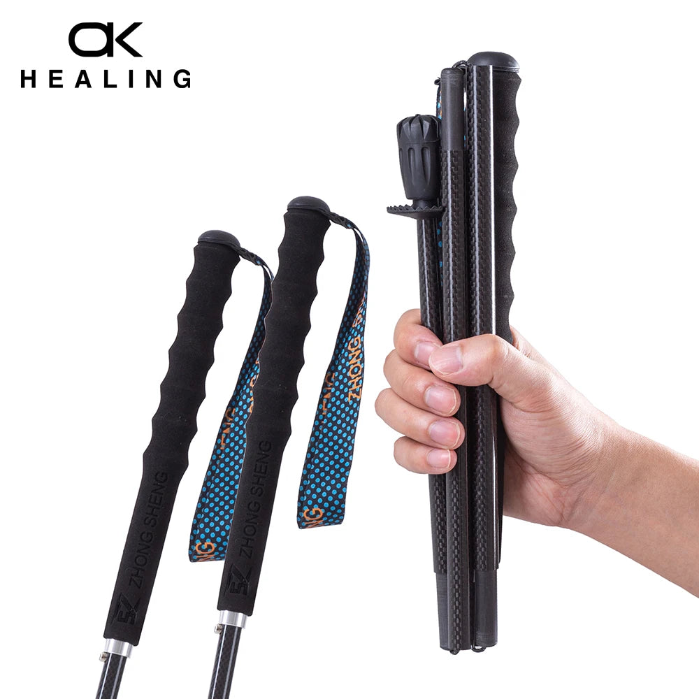 Carbon City Walking Running Sticks