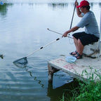 Telescopic Fish Landing Net