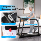 2.5 HP Walking Treadmill with Long Handrails for Seniors-Black