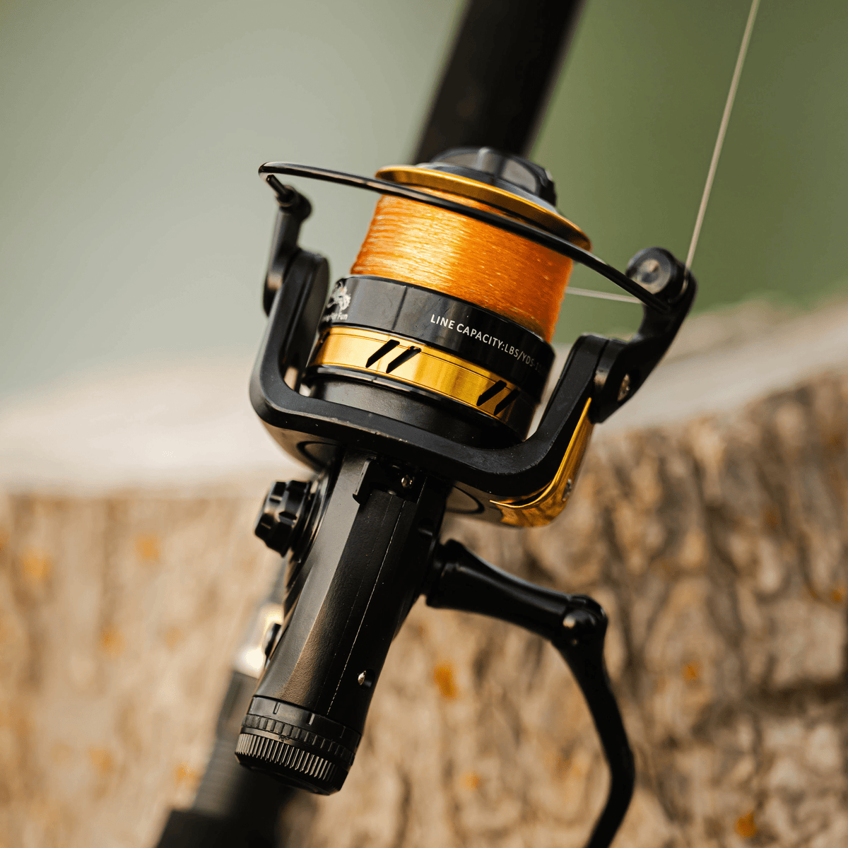 Fishing For Fun Spinning Reel